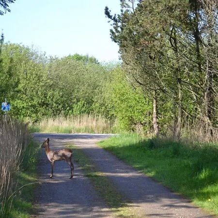 Denisa - 2-3km From The Sea In Western Jutland By Interhome *